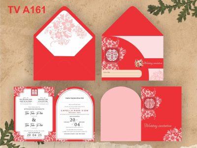TV-A161