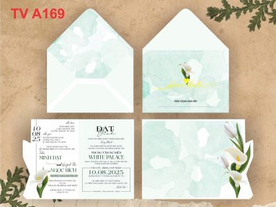 TV-A169